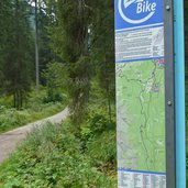 dolomiti di brenta bike tra campo carlo magno e dimaro