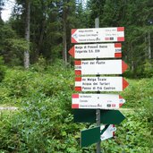 dolomiti di brenta bike tra campo carlo magno e dimaro