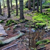 doss dei laresi sentiero L per lago lagorai