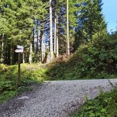 sentiero L per lago lagorai segnavia bivio