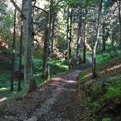 sentiero monte marzola