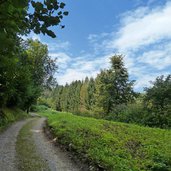 strada forestale brenta bike presso dimaro