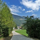 percorso dolomiti brenta bike presso carciato dimaro