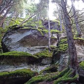 rocce e alberi in val lagorai