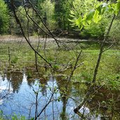 arte sella percorso arte natura laghetto