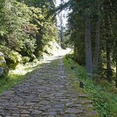 sentiero L e per lago lagorai ex strada militare