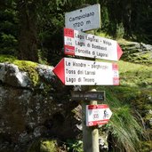 sentiero L e per lago lagorai bivio campiolato