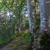 sentiero monte marzola