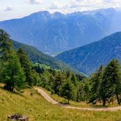 Vista sulla Val di Sole