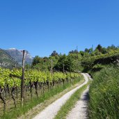 sentiero da sarche a calavino presso ponte oliveti