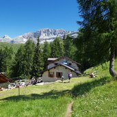 rifugio casinei