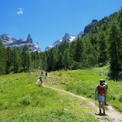 sentiero da casinei a rif tuckett e quinto sella