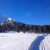 Passo Lavaze Jochgrimm Winter Langlauf Loipe