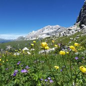 prati sotto rifugio tuckett