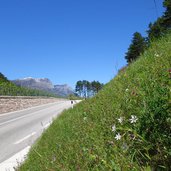 strada provinciale verso calavino