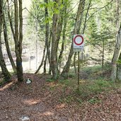 strada forestale collegamento per bastiani