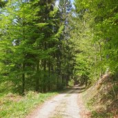 monte di bosentino discesa verso vigolo vattaro