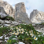 rocce del catinaccio