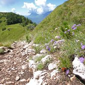 sentiero presso sella della marzola