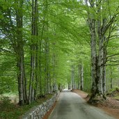 strada val di sella