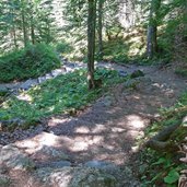 sentiero da rif casinei a rif vallesinella