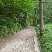 sentiero da faedo a rifugio sauch