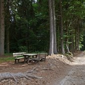 sentiero da faedo a rifugio sauch