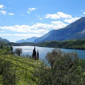 lago di cavedine vigneto e cipressi