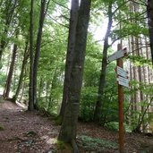 sentiero da passo sauch a lago santo