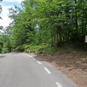 sentiero strada cembra lago santo