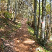 sentiero per malga campei