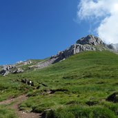 latemar sentiero x rifugio torre di pisa