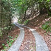 strada forestale rifugio malga campei