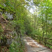 strada forestale rifugio malga campei