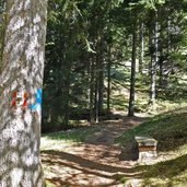 sentiero e da passo mendola a regole di malosco