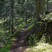 sentiero e da passo mendola a regole di malosco