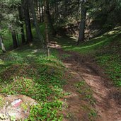 sentiero e da passo mendola a regole di malosco