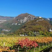 vigneti autunno vallagarina e castel beseno