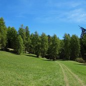 sentiero e da passo mendola a regole di malosco