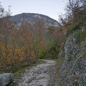 sentiero del gac discesa castel beseno vs calliano