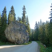 sentiero per malga venegia