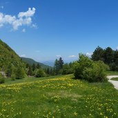 sentiero strada discesa da malga albi a garniga