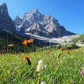 prato in val venegia e cimon della pala