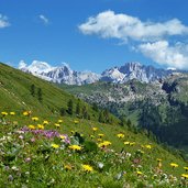 prati sopra val venegia e vista su gruppo marmolada