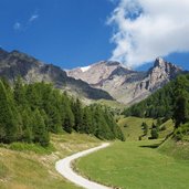 vista verso monte vioz da rifugio scoiattolo