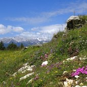 prati di malga bodrina