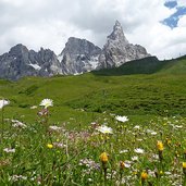 prati a passo rolle e gruppo delle pale di s martino con cima bureloni campanile val strut vezzana e cimon della pala