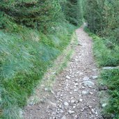 weg auf den zanggenberg