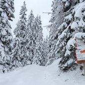 schneelandschaft bei karerpass wanderweg wald wegweiser