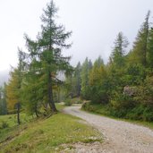 strada degli scarubbi monte pasubio